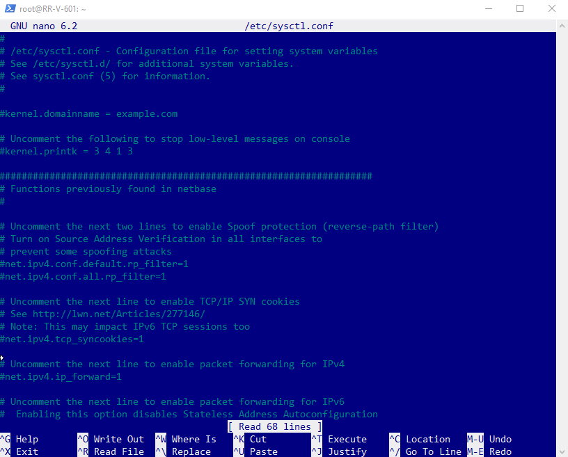 nano /etc/sysctl.conf